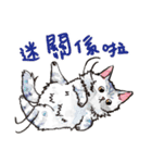 Taros Cat 2 - Taros Cat and his friends（個別スタンプ：32）