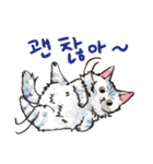 Taros Cat 2 - in Korean（個別スタンプ：32）