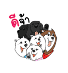 Samoyed Kori Family（個別スタンプ：1）