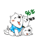 Samoyed Kori Family（個別スタンプ：12）