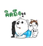 Samoyed Kori Family（個別スタンプ：16）