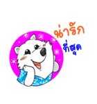 Samoyed Kori Family（個別スタンプ：33）