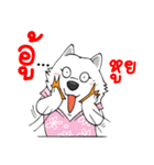 Samoyed Kori Family（個別スタンプ：34）