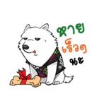 Samoyed Kori Family（個別スタンプ：38）