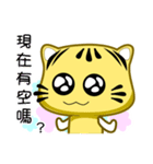 Cute striped cat. CAT116（個別スタンプ：17）