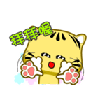 Cute striped cat. CAT116（個別スタンプ：25）