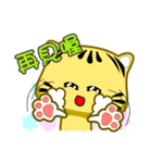 Cute striped cat. CAT118（個別スタンプ：25）