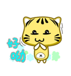 Cute striped cat. CAT119（個別スタンプ：13）