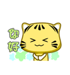 Cute striped cat. CAT120（個別スタンプ：20）