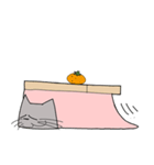 コタコタ猫（個別スタンプ：24）