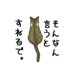 キジトラぽちゃ猫スタンプ（個別スタンプ：3）