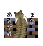 キジトラぽちゃ猫スタンプ（個別スタンプ：5）