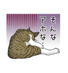 キジトラぽちゃ猫スタンプ（個別スタンプ：12）