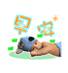 Great Baby Stickers（個別スタンプ：4）