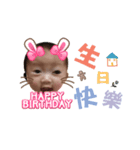 baby girl picture（個別スタンプ：1）