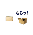 横切る黒猫のスタンプ（個別スタンプ：4）