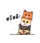 Little 3 dogs（個別スタンプ：1）