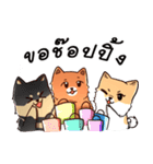 Little 3 dogs（個別スタンプ：3）