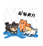 Little 3 dogs（個別スタンプ：5）