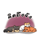 Little 3 dogs（個別スタンプ：7）