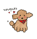 Balloon..Cutie Toy Poodle（個別スタンプ：1）