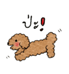 Balloon..Cutie Toy Poodle（個別スタンプ：2）