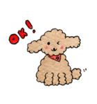 Balloon..Cutie Toy Poodle（個別スタンプ：3）