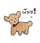 Balloon..Cutie Toy Poodle（個別スタンプ：4）