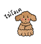 Balloon..Cutie Toy Poodle（個別スタンプ：5）