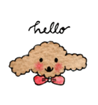 Balloon..Cutie Toy Poodle（個別スタンプ：9）