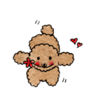 Balloon..Cutie Toy Poodle（個別スタンプ：14）