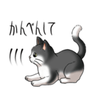猫図鑑 白黒猫（個別スタンプ：11）