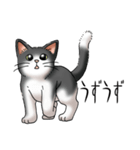 猫図鑑 白黒猫（個別スタンプ：12）
