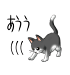 猫図鑑 白黒猫（個別スタンプ：30）
