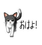 猫図鑑 白黒猫（個別スタンプ：31）
