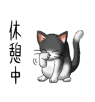 猫図鑑 白黒猫（個別スタンプ：32）
