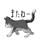 猫図鑑 白黒猫（個別スタンプ：37）