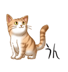 猫図鑑 茶白猫（個別スタンプ：5）