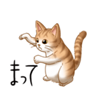 猫図鑑 茶白猫（個別スタンプ：16）