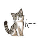 猫図鑑 キジトラ白猫（個別スタンプ：2）