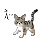 猫図鑑 キジトラ白猫（個別スタンプ：28）