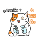 Gamer crazy cat 01（個別スタンプ：24）