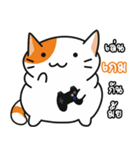 Gamer crazy cat 01（個別スタンプ：33）