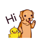 Dachshund Hei-pi and Duckling's daily（個別スタンプ：1）