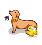 Dachshund Hei-pi and Duckling's daily（個別スタンプ：5）