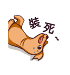 Dachshund Hei-pi and Duckling's daily（個別スタンプ：9）