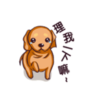 Dachshund Hei-pi and Duckling's daily（個別スタンプ：15）