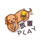 Dachshund Hei-pi and Duckling's daily（個別スタンプ：17）