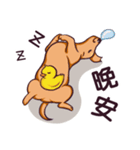 Dachshund Hei-pi and Duckling's daily（個別スタンプ：35）