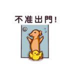 Dachshund Hei-pi and Duckling's daily（個別スタンプ：36）